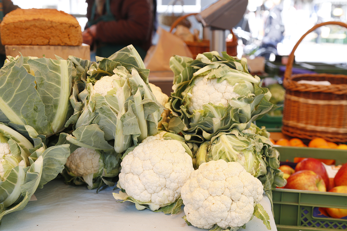 Draxler-Ökostand (1)